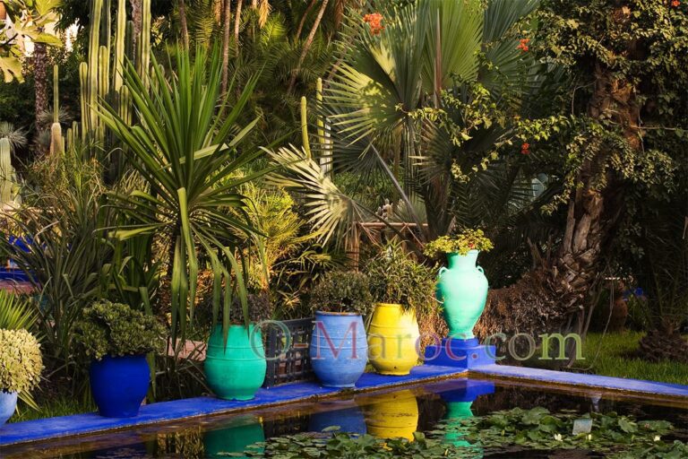An encounter in Majorelle The Majorelle basin