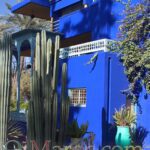Cactus, Majorelle blue and blue sky