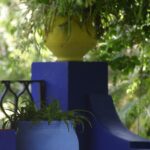 Yellow and green make blue
