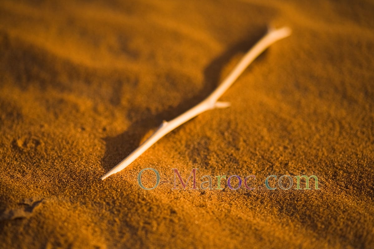 Ruler