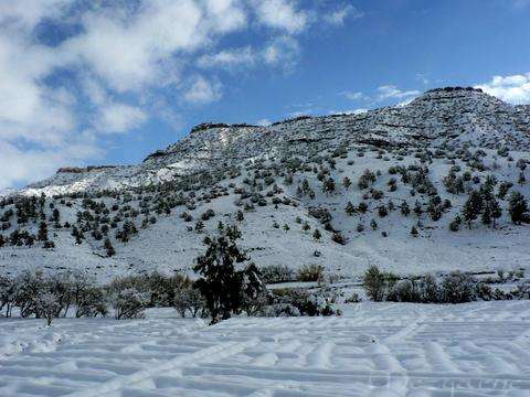 Tichka in the snow