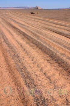 Near Tazzarine, the tracks of 4x4s in the sand