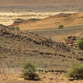 Ergs and dunes, the Jbel Zireg, on the edge of the Sahara