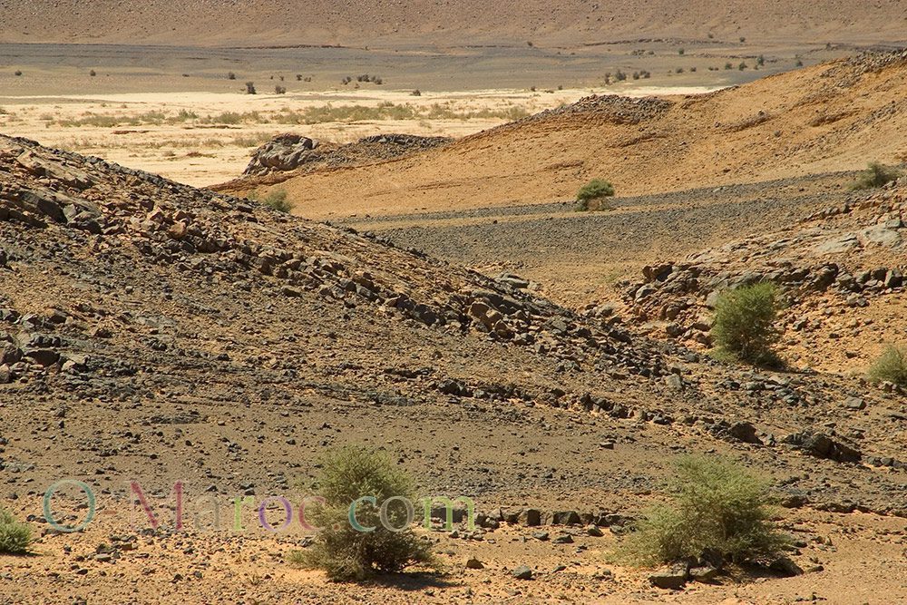 Ergs and dunes, the Jbel Zireg, on the edge of the Sahara