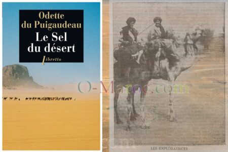 The book "Salt caravan"