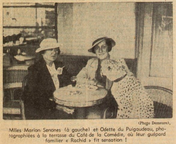 Marion Senones et Odette du Puigaudeau avec un guépard apprivoisé à la terrasse d'un café