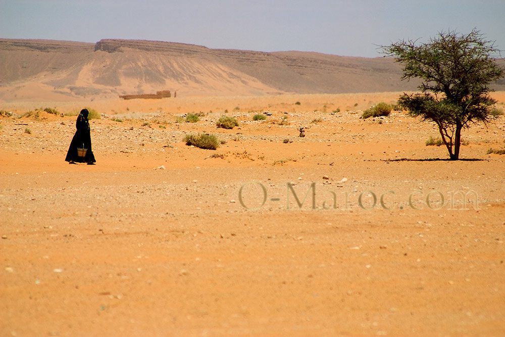 A woman walking in the desert, towards Mcissi