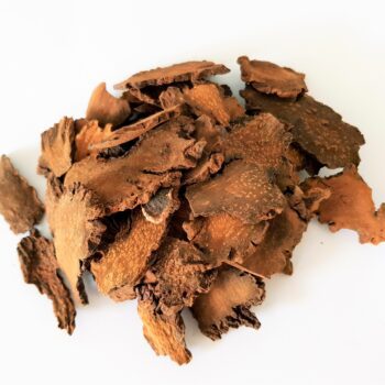 Slices of dried cistanche