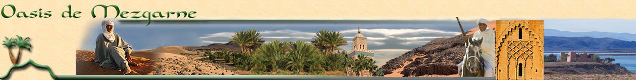 Header de l'ancien site de Mezgarne