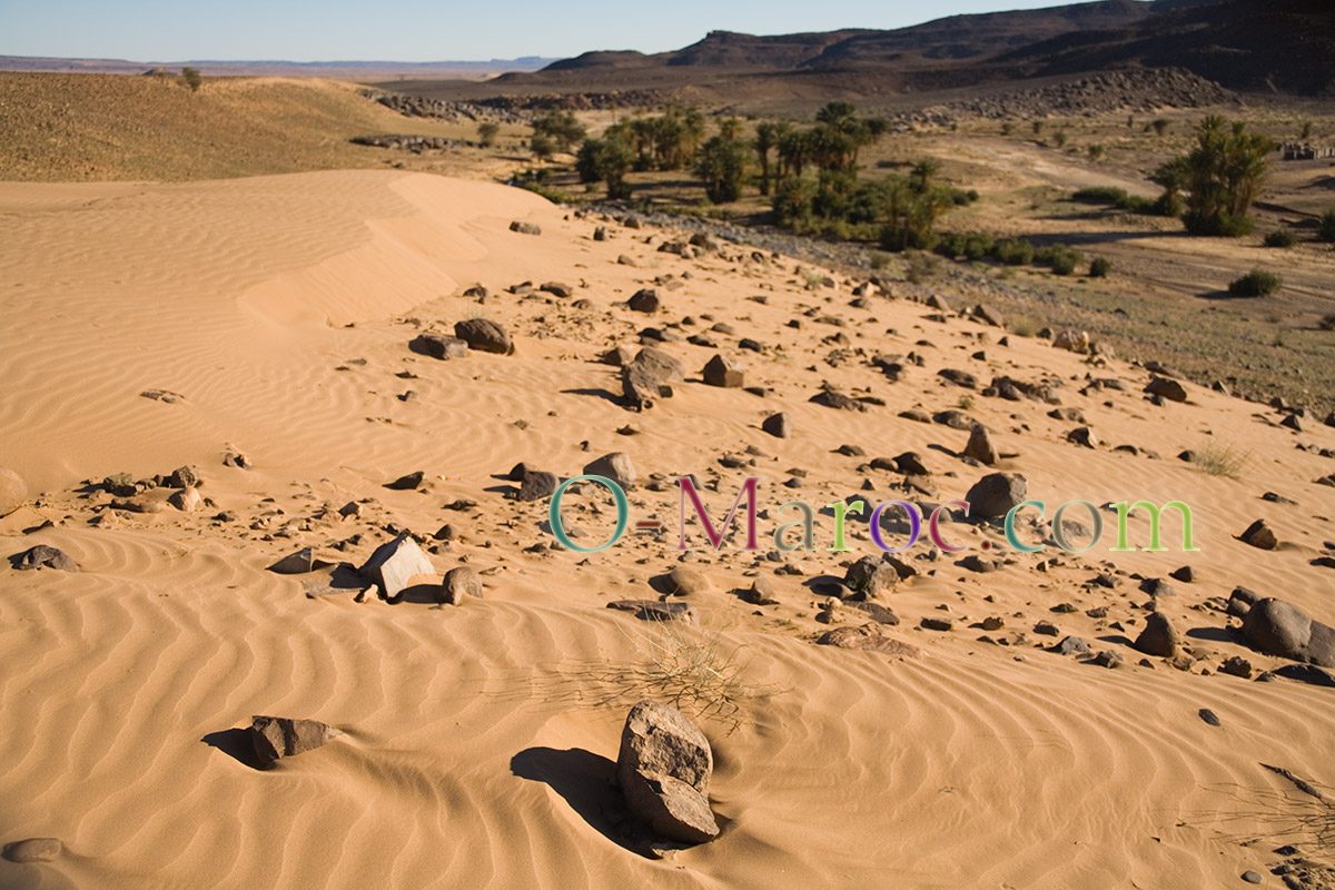 Paysage de l'oasis naturelle de Serdrar serdrar