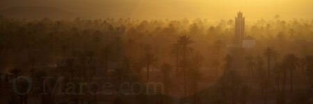 Sunset over the Tazzarine palm grove