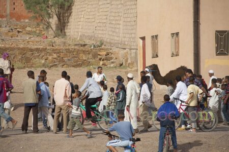 Departure of the pilgrimage to Tinghir with the dromedary (moussem of Tazzarine)