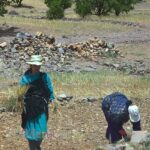 Two women glean in the fields near Essaouira