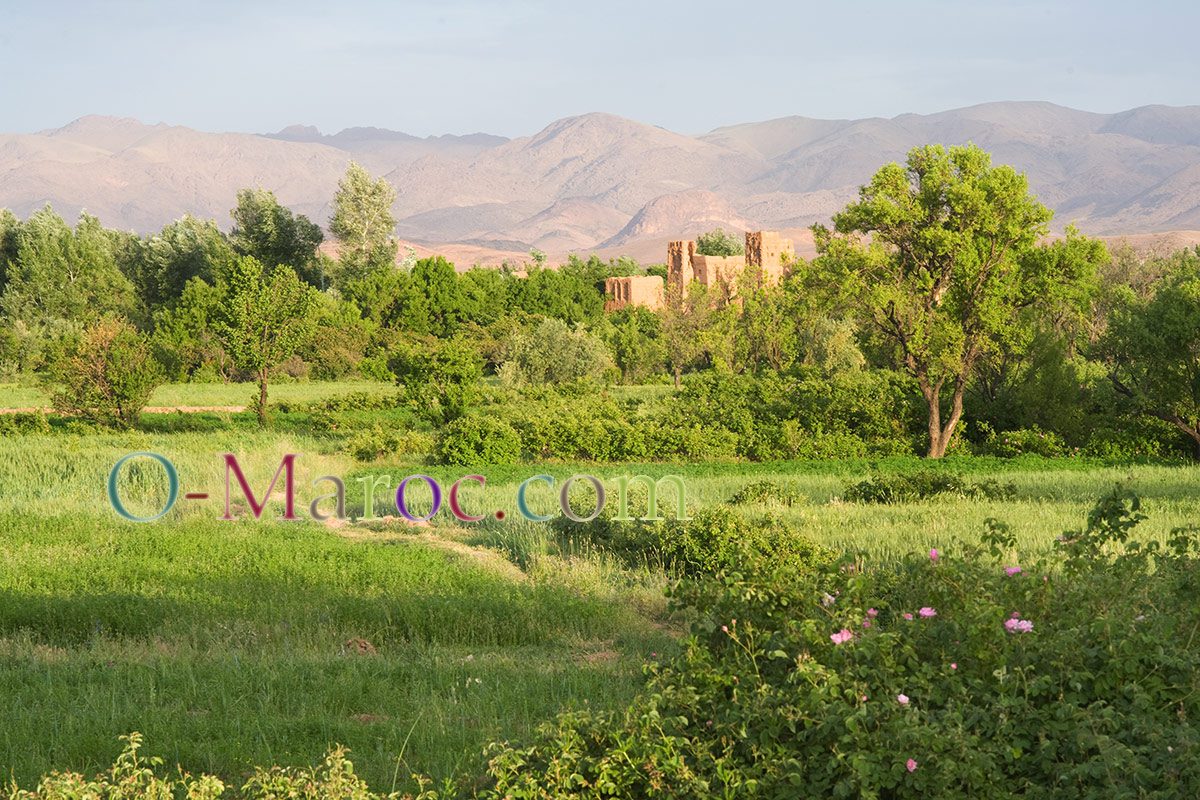 Kasbah in ruins in the Valley of the Roses
