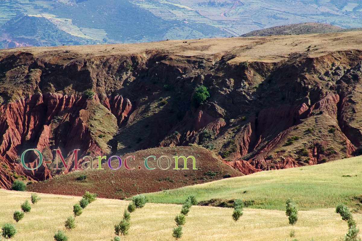 Fields on the mountainside