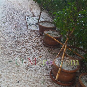 Terrace and flower pots covered in hailstones