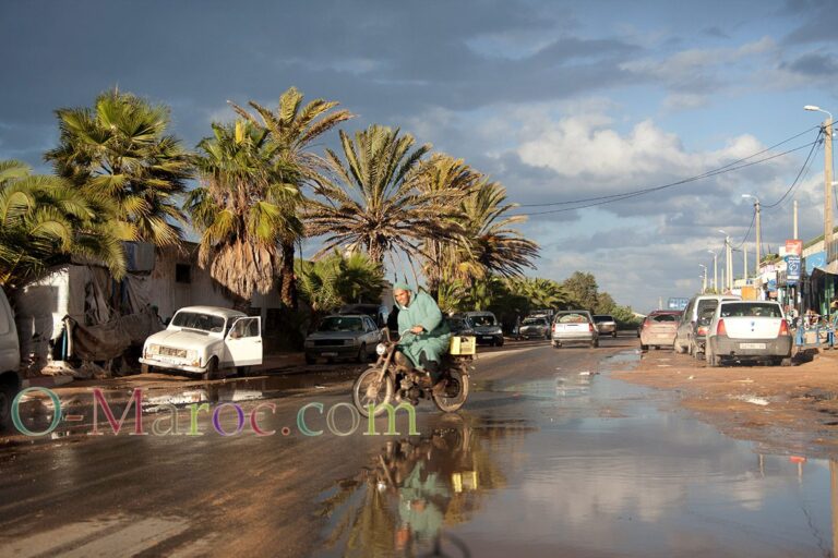 After the rain