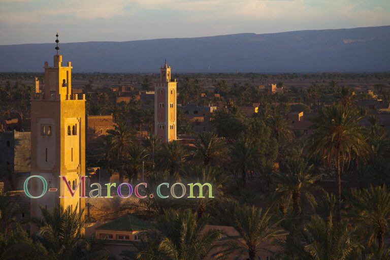 Sunset over the Tazzarine palm grove