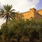 The kasbah, seen from the palm grove