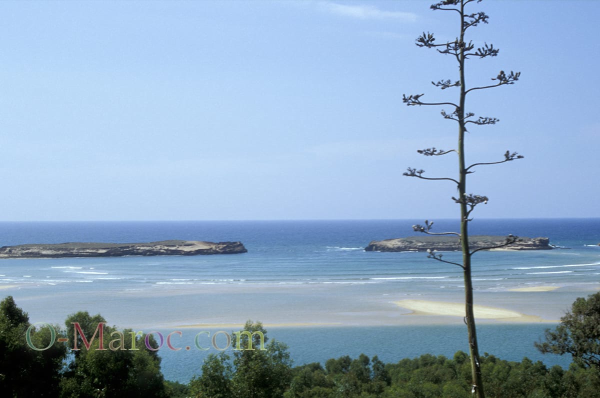 The lagoon and the channel at Oualidia, seen from the top of the dune