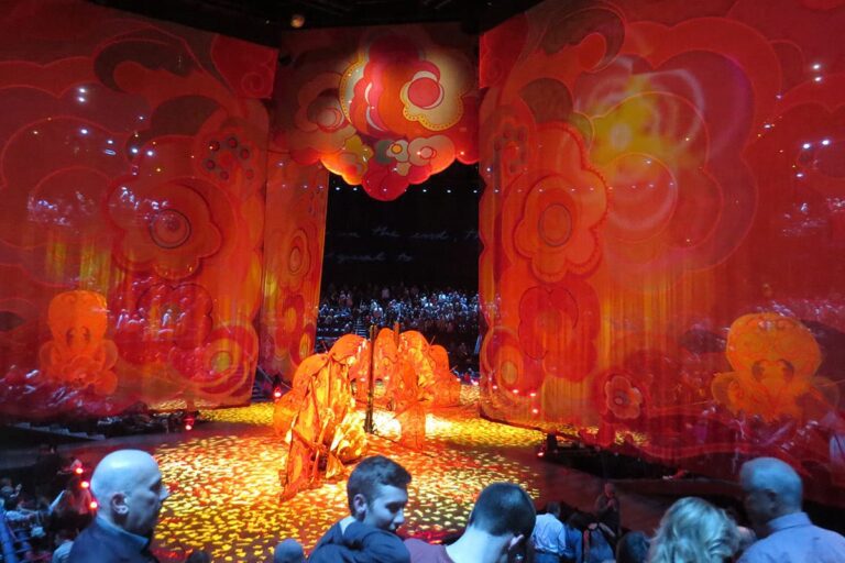 Under the circus du soleil big top