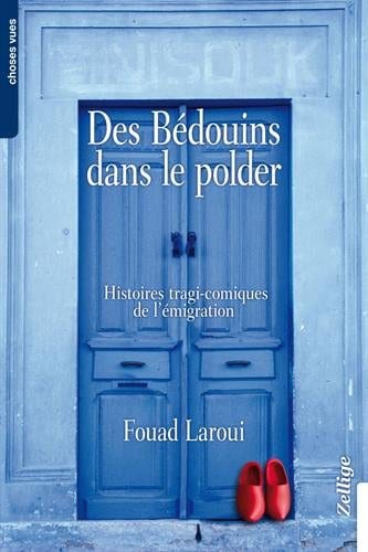Des bédouins dans le polder histoires tragi comiques de l émigration