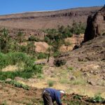 Ouednoujoum vegetable garden