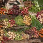Vegetables in Doukkala