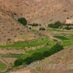 Green corridor in the mountains