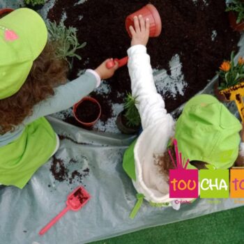 Gardening