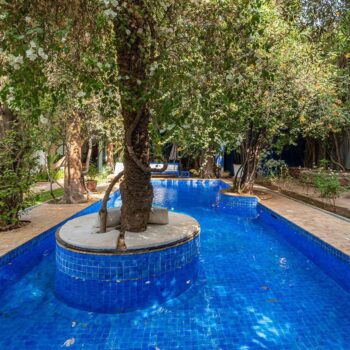 The swimming pool among the trees