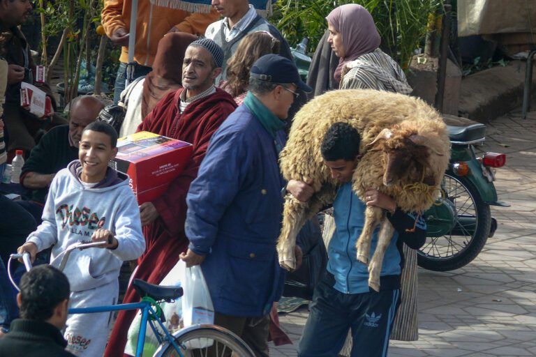 Transporting the Eid sheep through the streets of Marrakesh
