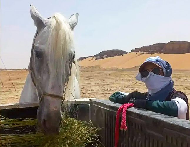 La "licorne" du Witcher se régale devant le djebel Zireg