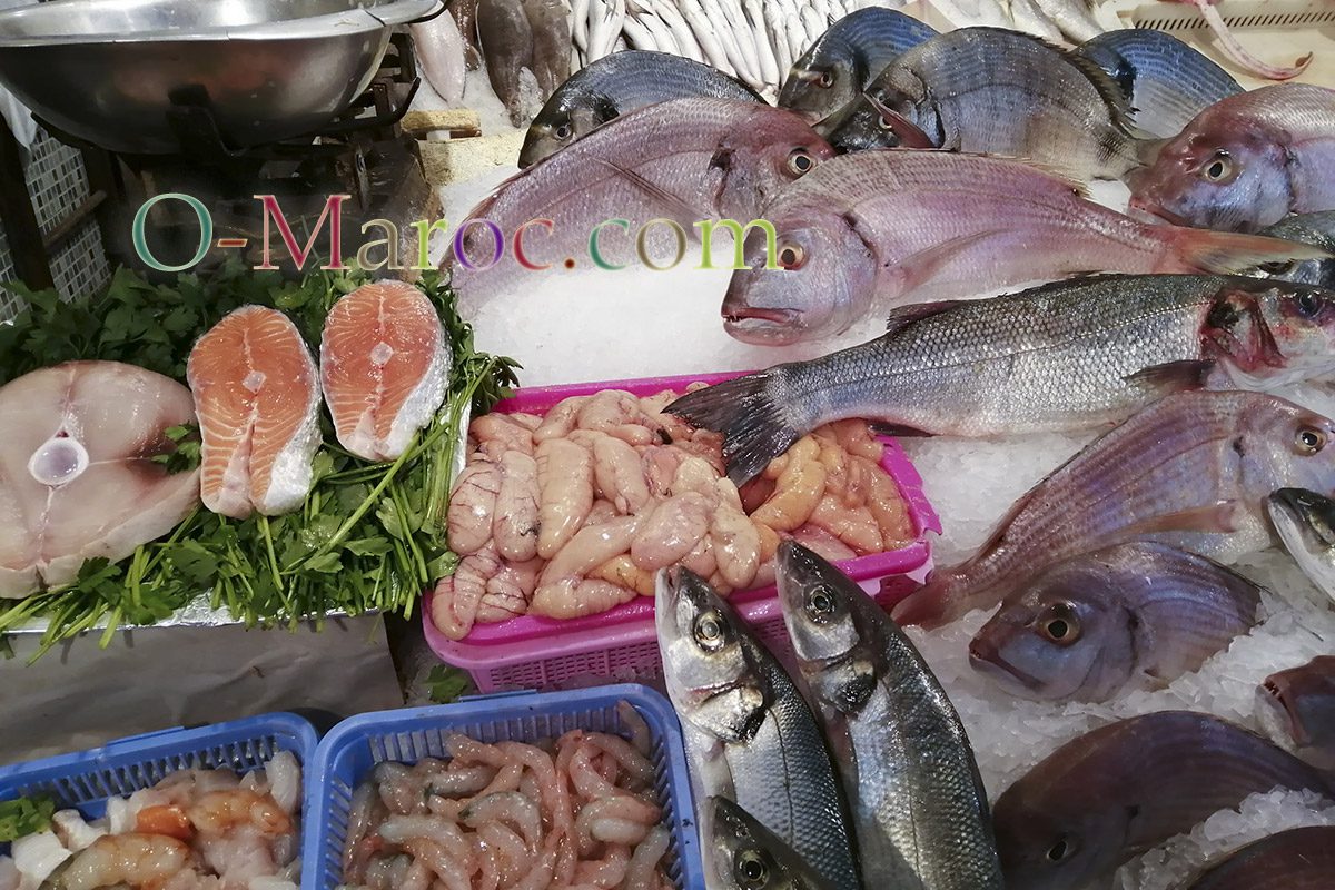 Fish stall at Casablanca's central market