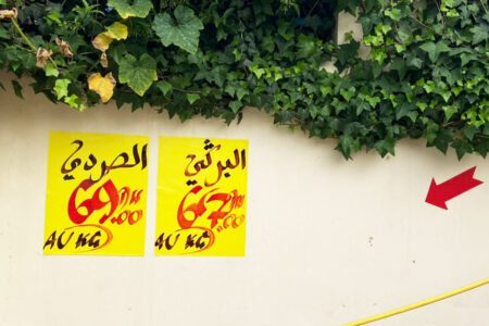 Sheep prices for Eid 2023