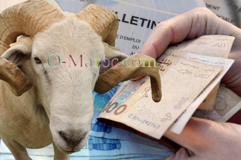 Sheep premium treatment