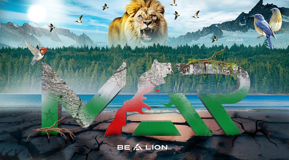 Home page: an image in the colours of Morocco with a lion