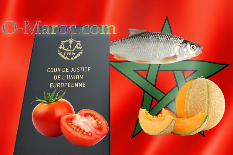 A tomato, a melon, a fish and the plaque of the European Court of Justice in front of a Moroccan flag