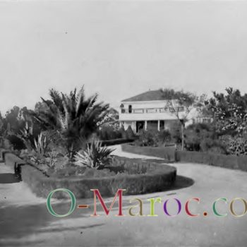 Gardens outside the villa