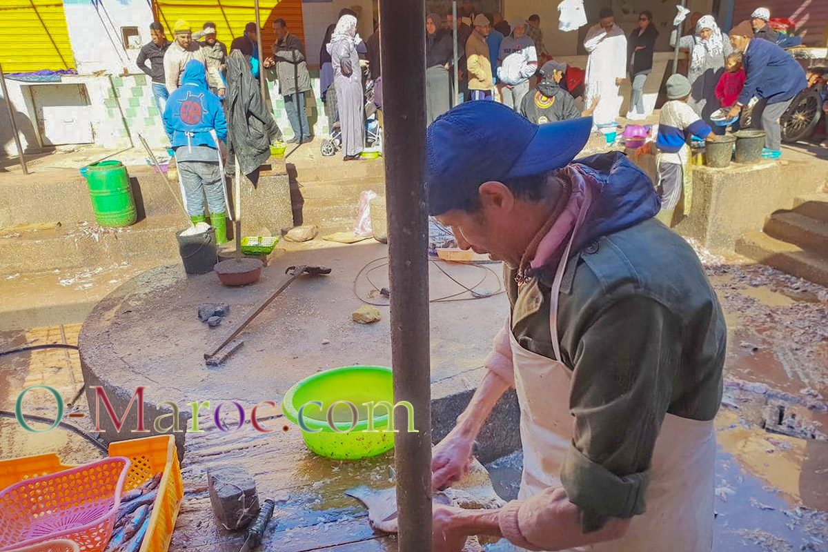 Ouarzazate fish market