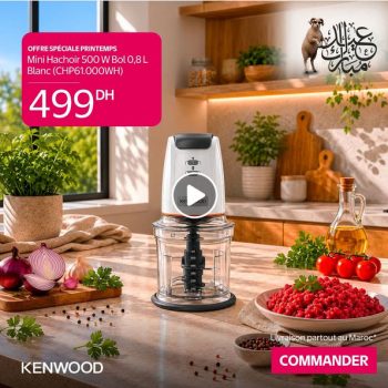 Advertisement for a mini food processor