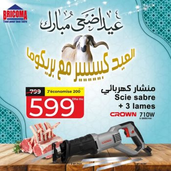 Reciprocating saw for Eid