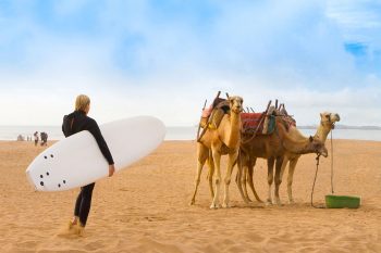 What activities are on offer for your holiday in Morocco? Holidays in Morocco: surfing and camel rides