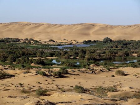 Photo of the banks of the Segiua al Hamra in the desert